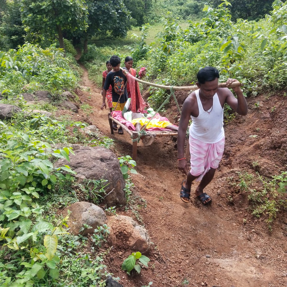 झारखंड स्वास्थ्य व्यवस्था की तस्वीर 

ना सड़क , ना अस्पताल , ना एम्बुलेंस  —
लेकिन सरकार कहती है “विकास हो रहा है”!

 शायद सरकारी विकास फाइलों में हो रहा होगा
 मगर सच तो यह तस्वीर बयां कर रही है

यह तस्वीर झारखंड के पाकुड़ का है...
जहां अपने बीमार बेटे को इलाज के लिए खाट पर लेकर