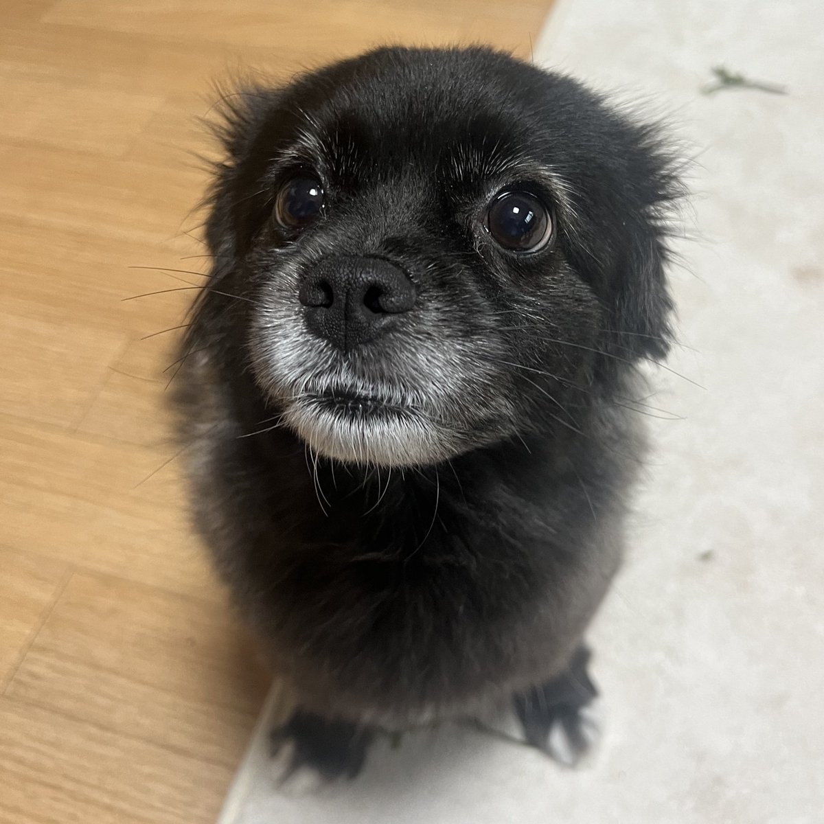 상황설명: 미나리전 부쳐놓고
하이볼 사러 잠깐 나갔다옴