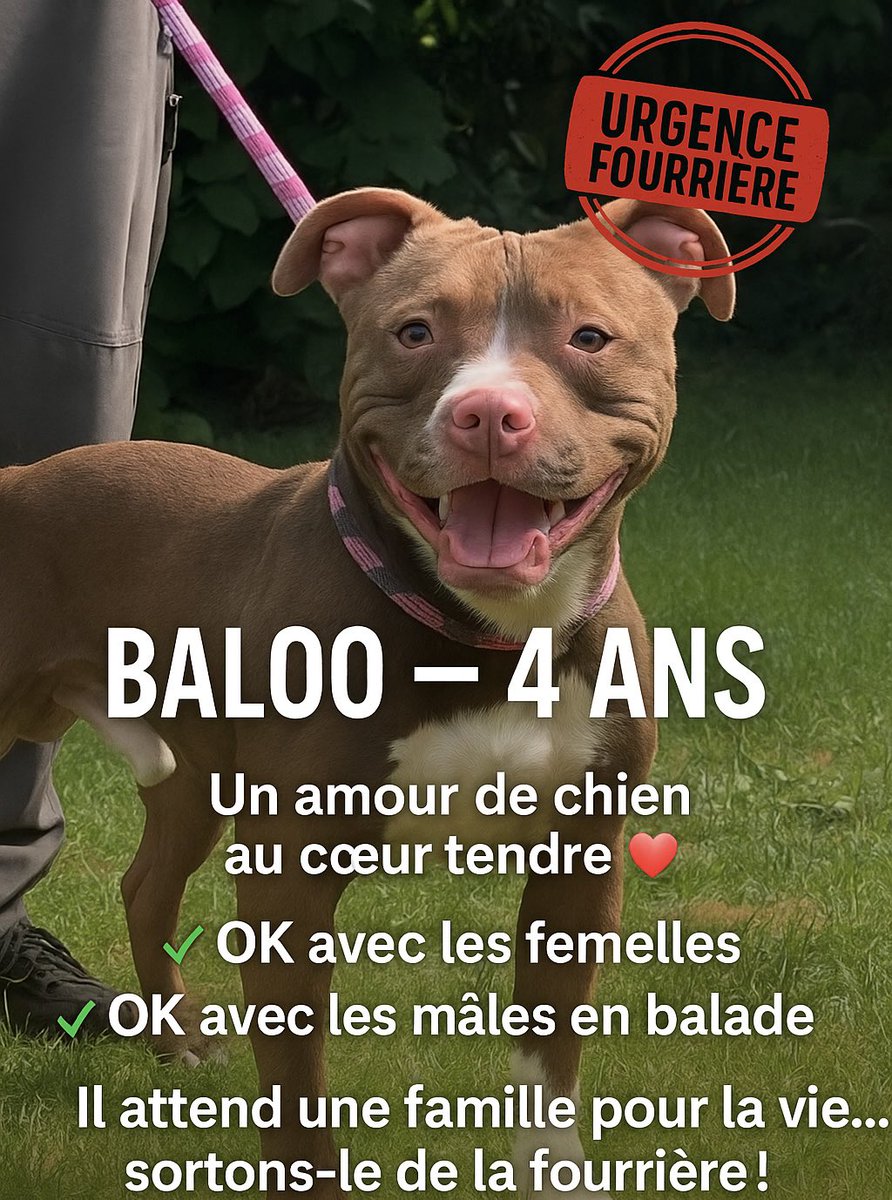 Association Les Anges du Rail tweet media