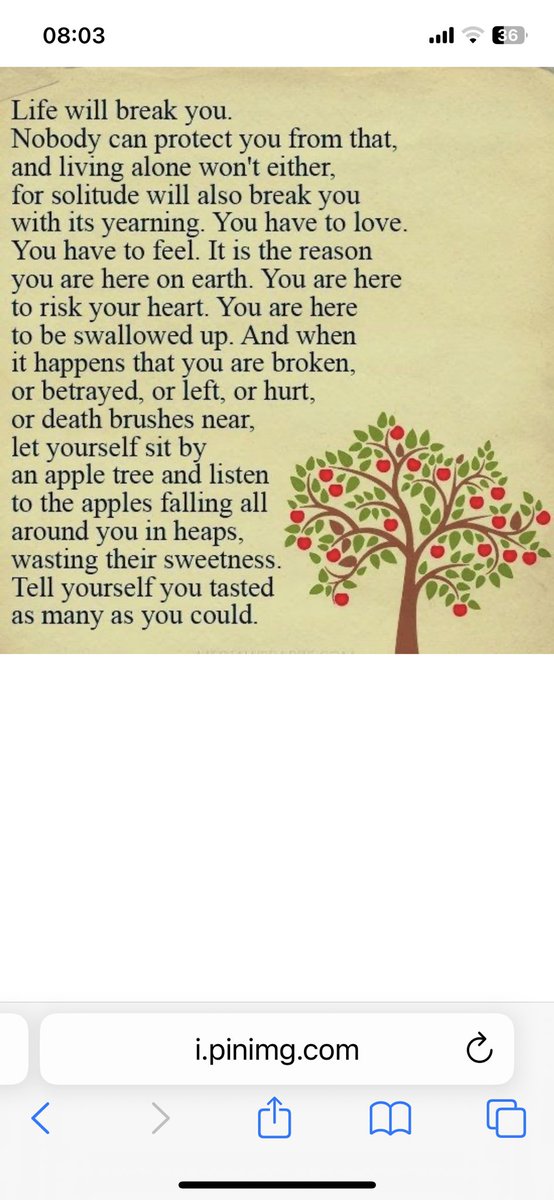 Thought for the day, by Louise Erdrich.