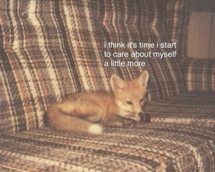 caninepoetry_'s tweet image. 