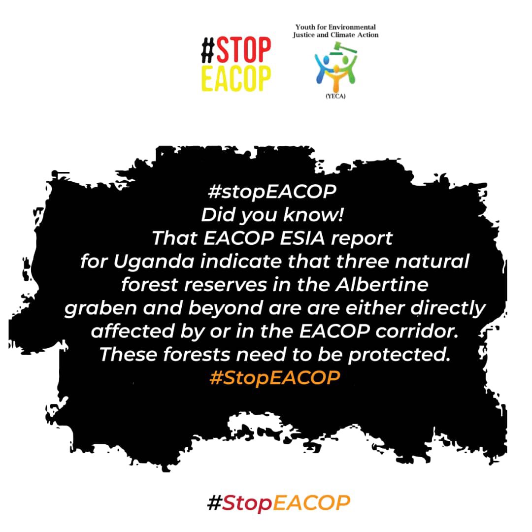 ASIIMWEMAR34811's tweet image. Nature is crying, people are crying 😭 at the cost of the exploitation of oil. We need justice, Uganda needs Justice. Let’s join together to put a stop on EACOP
