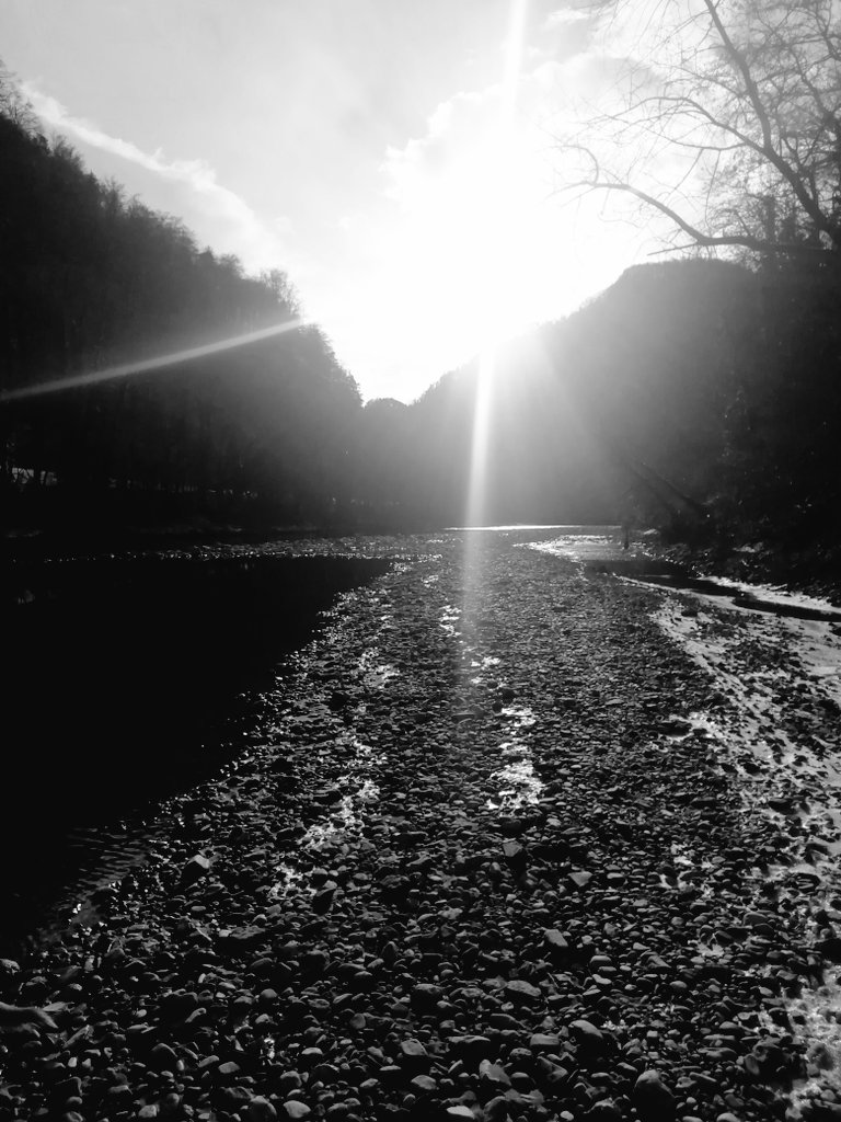 dieleserin2's tweet image. „Die Zeit, die uns bleibt, 
ist die Zeit der Steine, 
die uns nachblicken.“

#PaulCelan 
#poetry