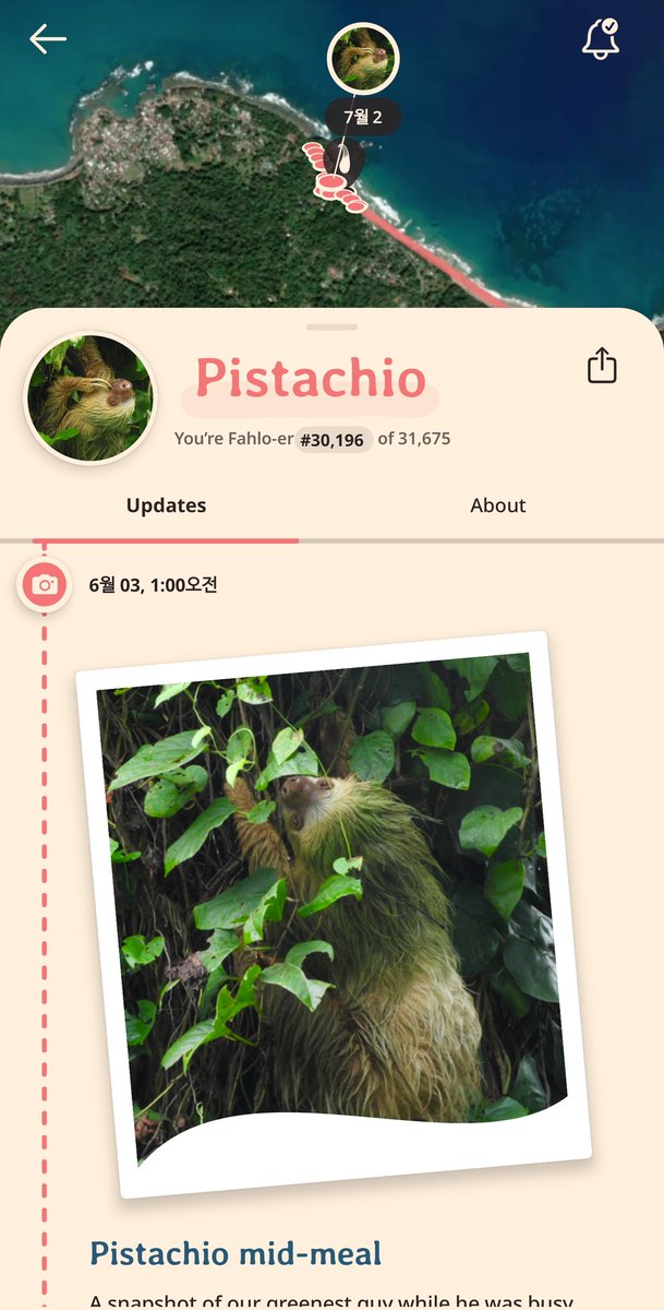 한 시간에 3cm 움직이는 내 나무늘보...