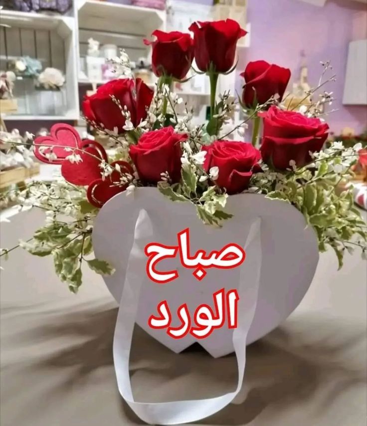 <a href="/J0gfBA7FhZcMLmt/">ابو ركان🇩🇿</a>