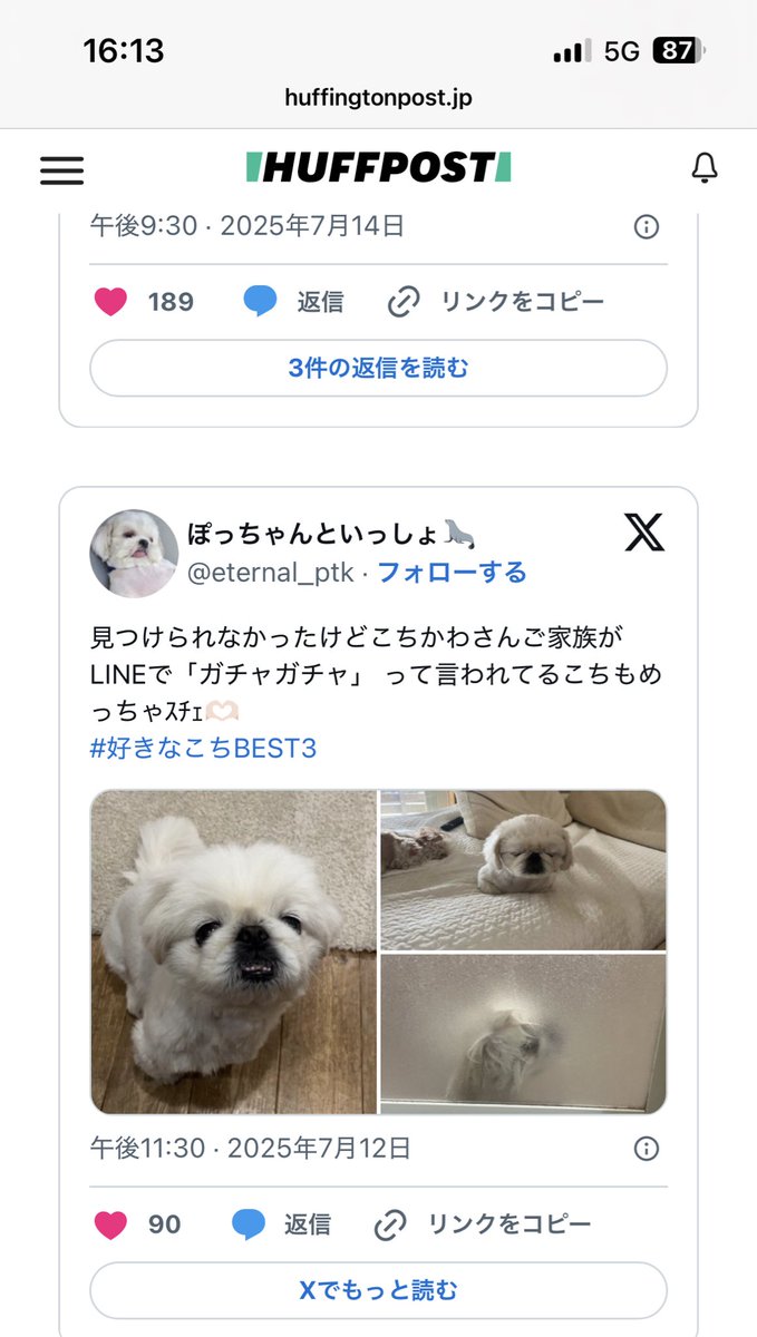 eternal_ptk's tweet image. ハフポスト様の記事、ツイートもいくつか載せるって聞いてたのですがまさかこちBEST3のツイートが載ってて歯出た
こち〜❣️一緒に記事になたよ〜❣️