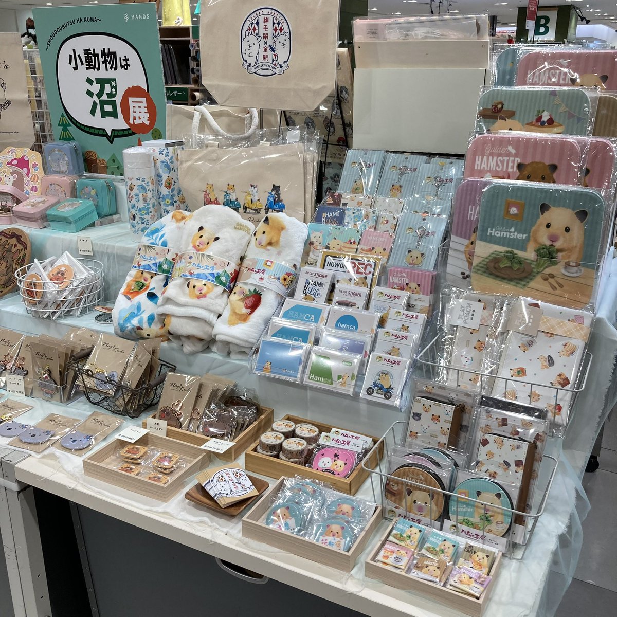 ハム's工房／KATZ🐹 on X