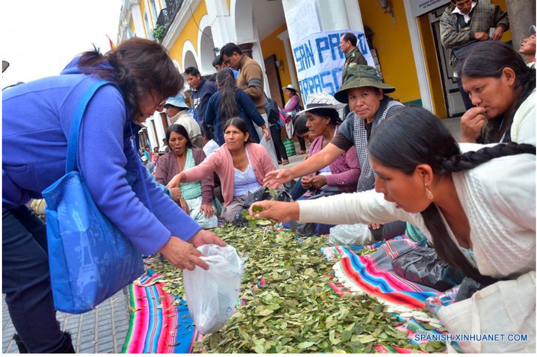 Sureste_Oficial's tweet photo. Buscan candidatos de derecha en #Bolivia, regreso de la DEA y erradicación de la hoja de coca

Tras 17 años de la DEA fue expulsada de #Bolivia, se prepara para regresar. Tres candidatos de la derecha se han pronunciado porque regrese.

https://t.co/k900A7Erma https://t.co/IScrX3elPc