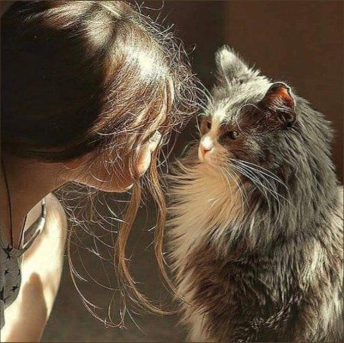 ᅠ ᅠ (@solukayna) on Twitter photo 