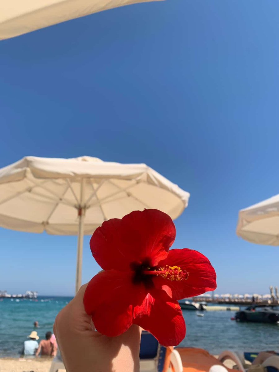 ecolinko's tweet photo. Muğla renk paleti💗🕊 https://t.co/hYiZESRYcY