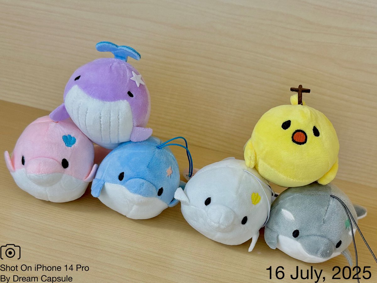 🌟新入荷ガチャ商品プレゼントCP🌟

ゆるいるかと仲間たちが大集合🐬🎨
「ゆるいるか ぷちぬいぐるみベストセレクション」

フォロー&amp;RP(RT)していただいた方の中から抽選で2名様に全6種セットをプレゼント🎁
ドリカプへの入荷日とキャンペーン詳細は↓

#ドリームカプセル #ガチャ専門店