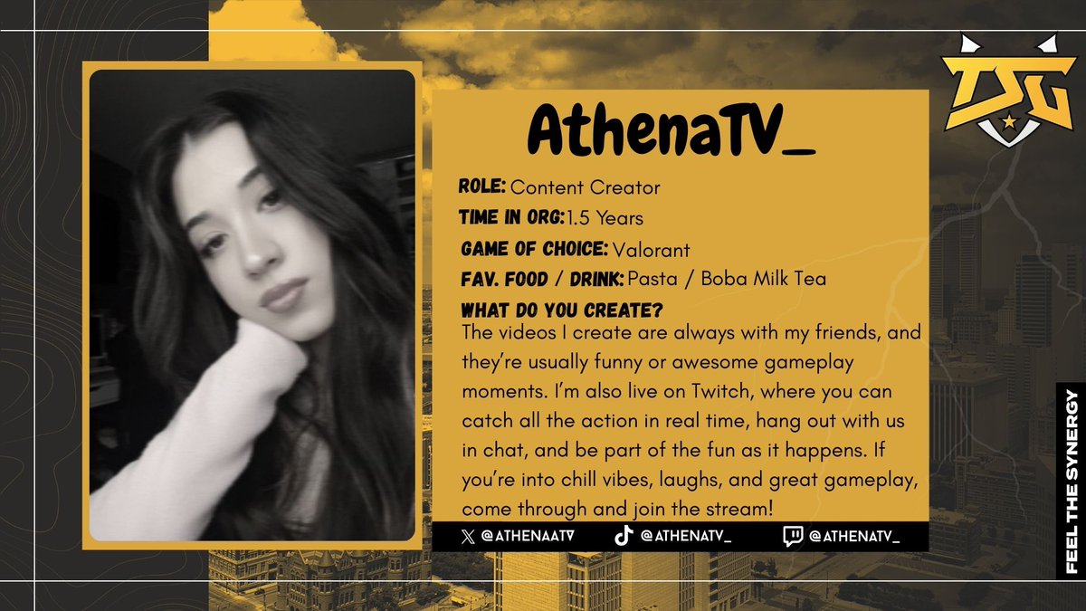 True Synergy Gaming tweet media