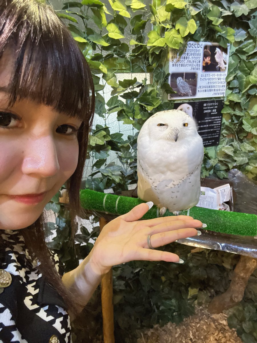 そういえば先月お誕生日で
ついに20歳になりました( ᐪ꒳​ᐪ )
また1歩大人への階段のぼりました、
そして就職のタイミングで上京して
今は関西に住んでます🙋🏻‍♀️
今年はたくさんみょんに会えるといいなぁ
AIMの皆様、20歳になった私ともぜひ仲良くしてください！！🎀
夢のAIM会行きたい、！！