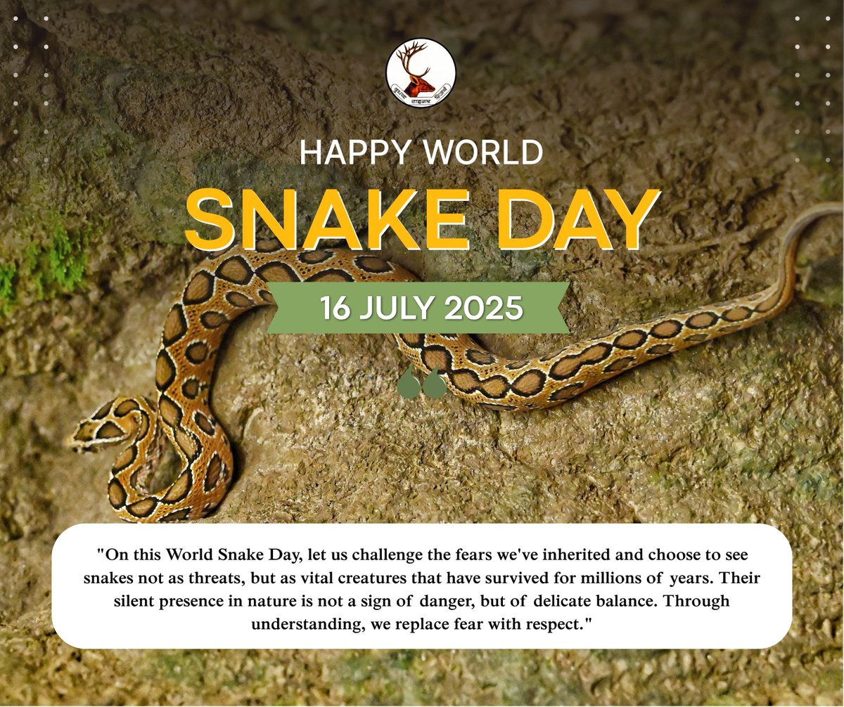 DudhwaTR's tweet image. World Snake Day-2025
Awareness program & nukkad-natak held today to bust myths and spread the message:
“Snakes are not enemies, they are nature’s guardians.”
Let’s protect them, not fear them.
#WorldSnakeDay #Dudhwa #NukkadNatak #SaveSnakes
@moefcc @ntca_india @WWFINDIA