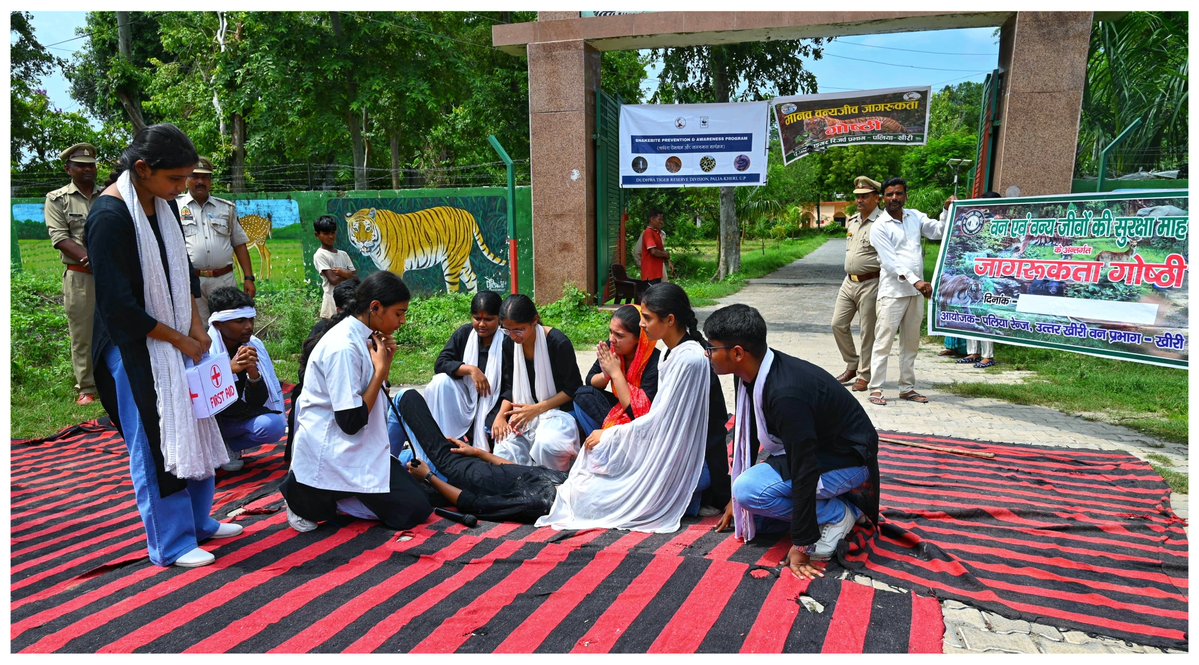 DudhwaTR's tweet image. World Snake Day-2025
Awareness program & nukkad-natak held today to bust myths and spread the message:
“Snakes are not enemies, they are nature’s guardians.”
Let’s protect them, not fear them.
#WorldSnakeDay #Dudhwa #NukkadNatak #SaveSnakes
@moefcc @ntca_india @WWFINDIA