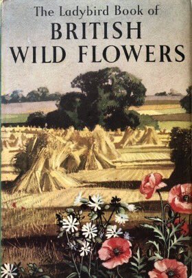 LBFlyawayhome's tweet image. Ladybird book in the spotlight.
Wild Flowers, 1957.
Artists: EdithHilder and Rowland Hilder