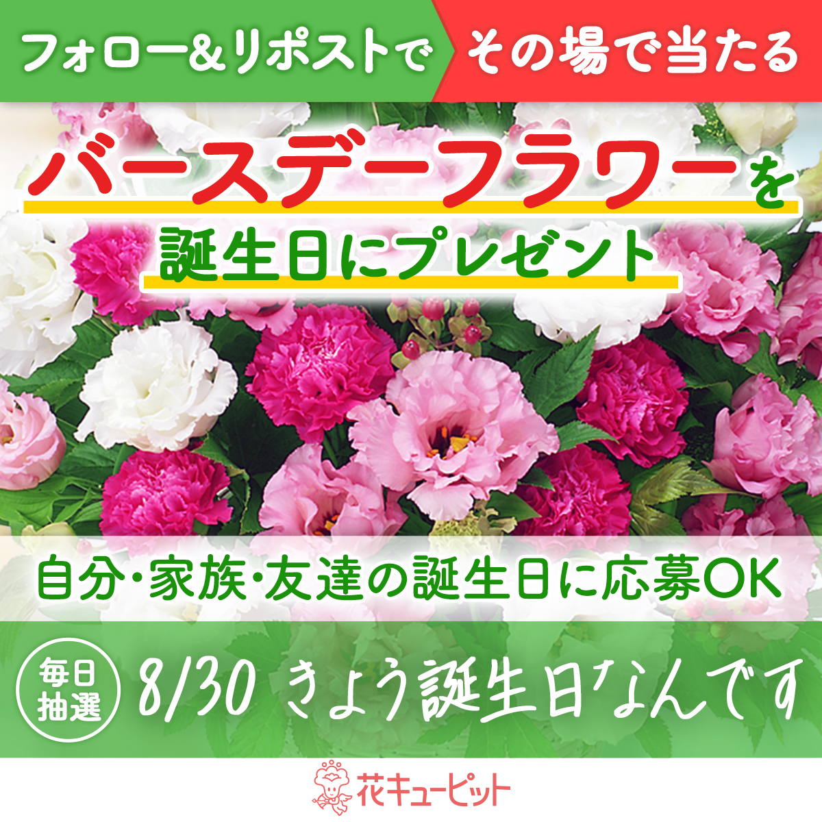uramo♡もちさま専用(フォロワー様割引→11500円) uramo♡もちさま専用(フォロワー様割引→11500円) oshimoa_jp