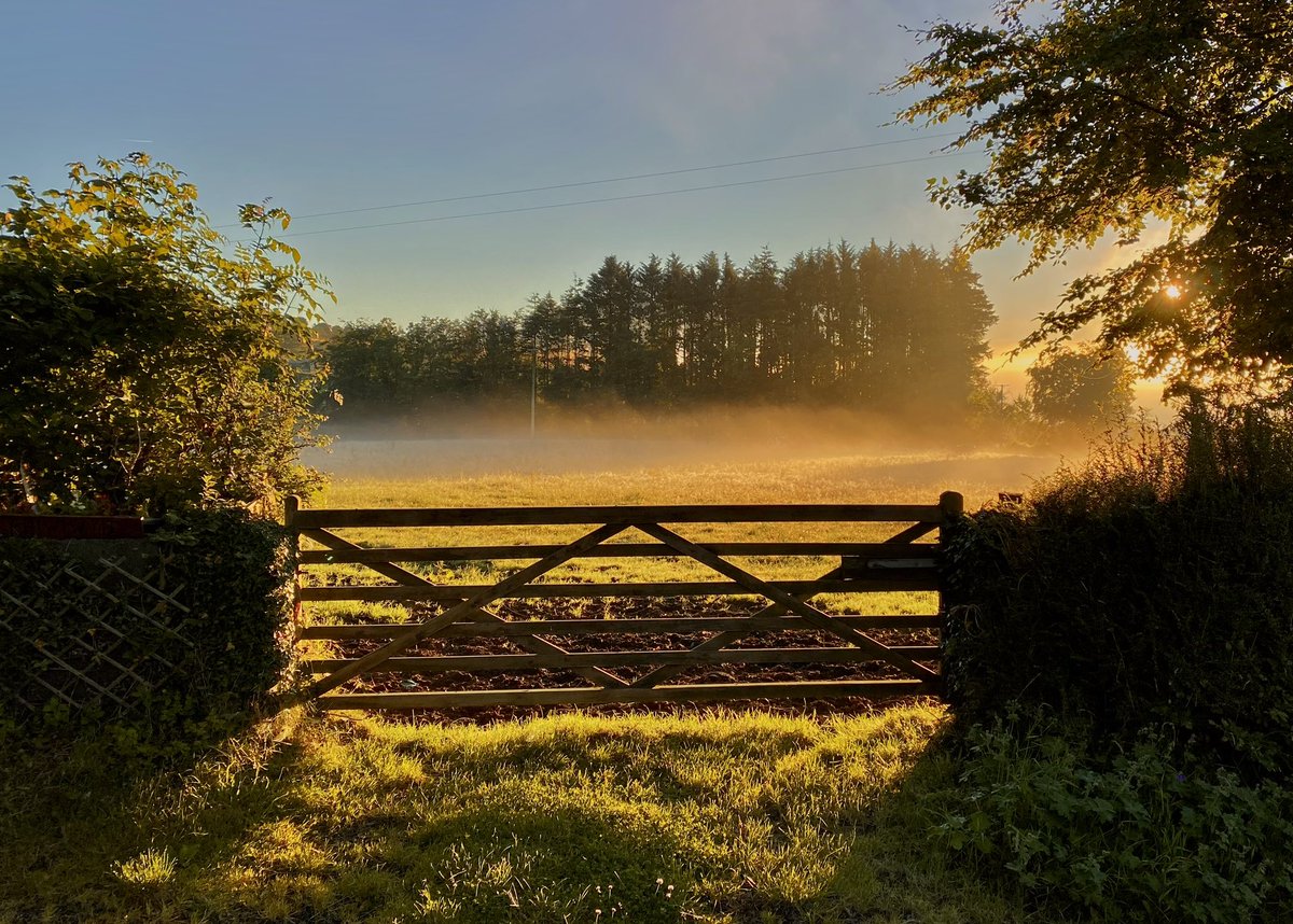 AledHall's tweet image. Bore hudolus o ben hewl ni…bore da i chi gyd o’r gorllewin gwyllt x
A magical morning early doors from the top of our farm lane…borr da to you from the wild west x