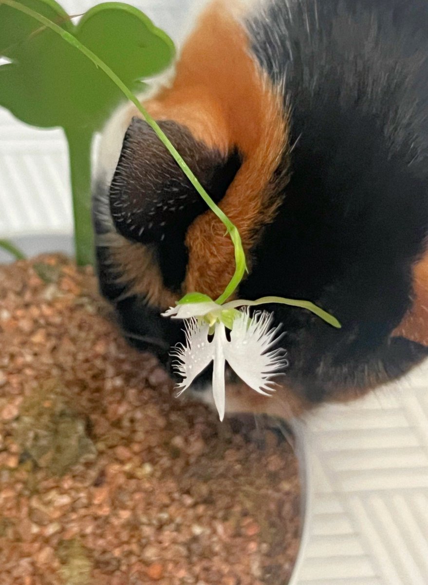 🌕 빈이의 우주 달빈달빈 tweet media