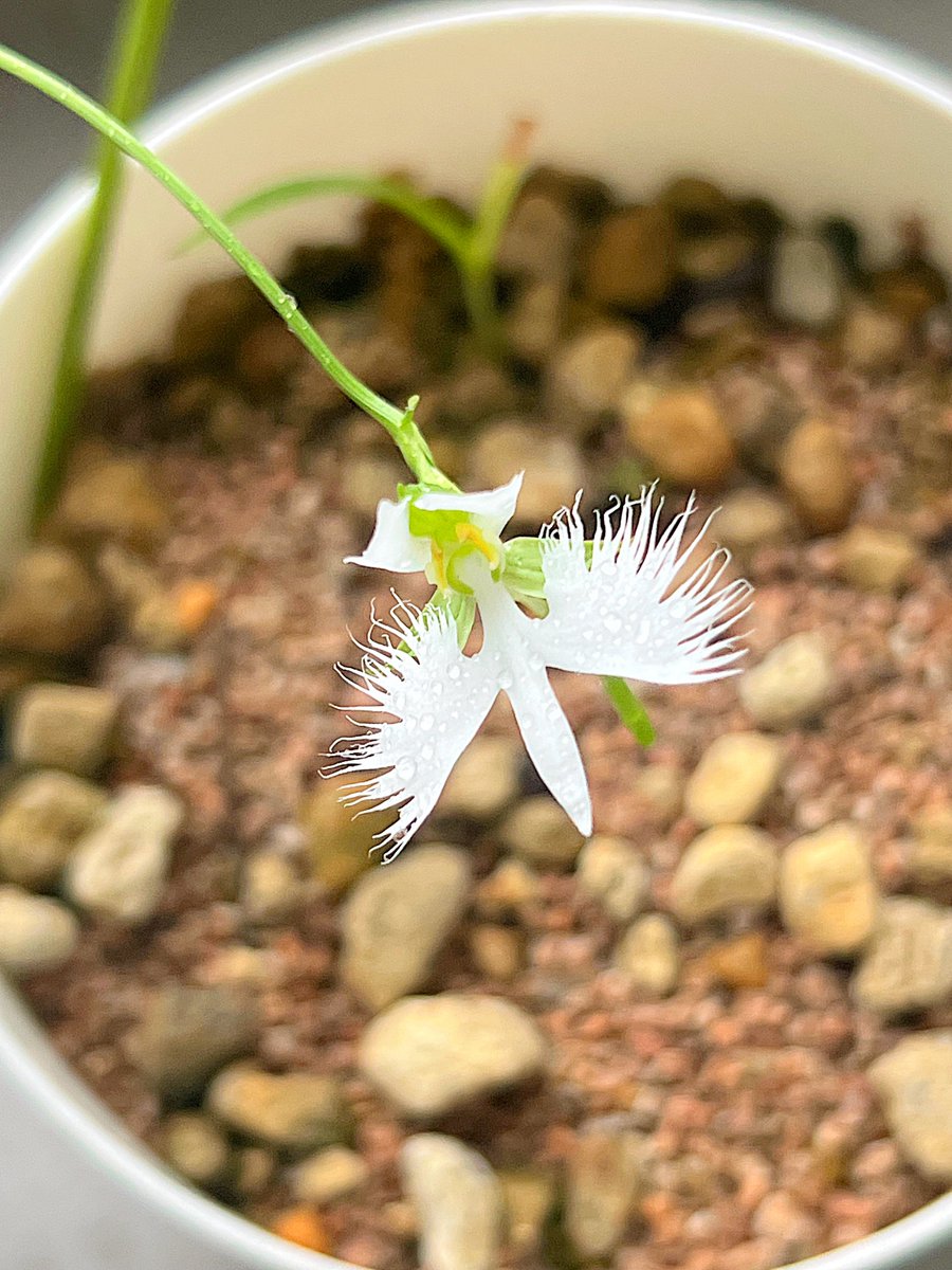 🌕 빈이의 우주 달빈달빈 tweet media