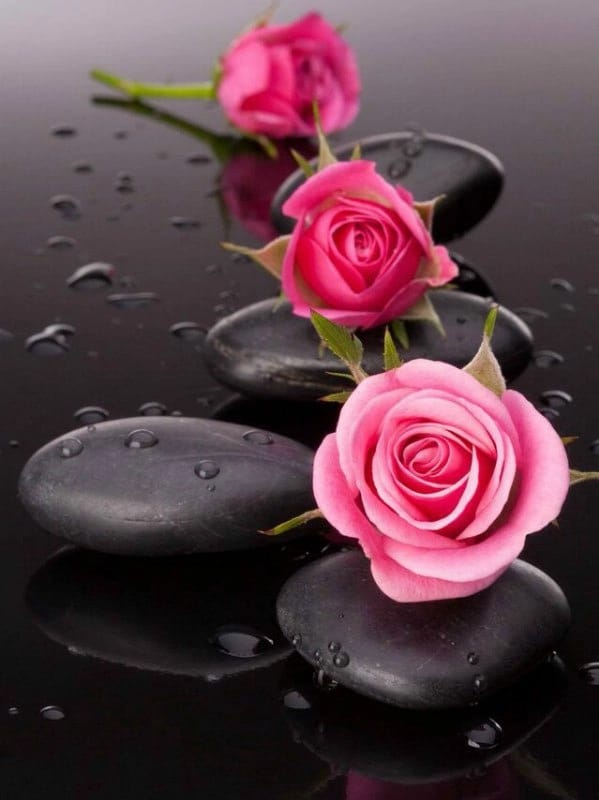 TereTorre4's tweet image. *
Algo que no perdona el tiempo, es lo que a tiempo
no se hace.
...鉂わ笍