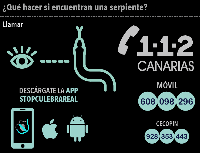 Hoy se celebra el #DíaMundialdelaSerpiente 🗓️

Un buen día para recordar que colaboramos con
<a href="/stopculebrareal/">Stopculebrareal</a> 🐍 para controlar la expansión de esta #EspecieExóticaInvasora, que está acabando con los lagartos de #GranCanaria 🦎

<a href="/gesplansa/">Gesplan</a> <a href="/112canarias/">112 Canarias</a>