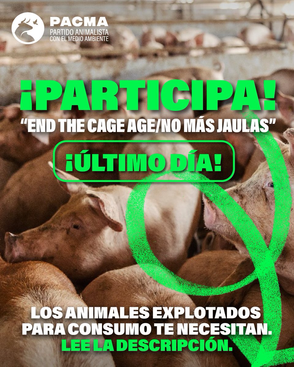 🙌¡Los animales te necesitan!

✍️Participa en la consulta de la Comisión Europea pidiendo una mejora de las condiciones de vida de los animales. Copia el modelo que te dejamos en nuestra web y sigue las instrucciones: pacma.es/actualidad/los…

📆¡Hoy es el último día para hacerlo!