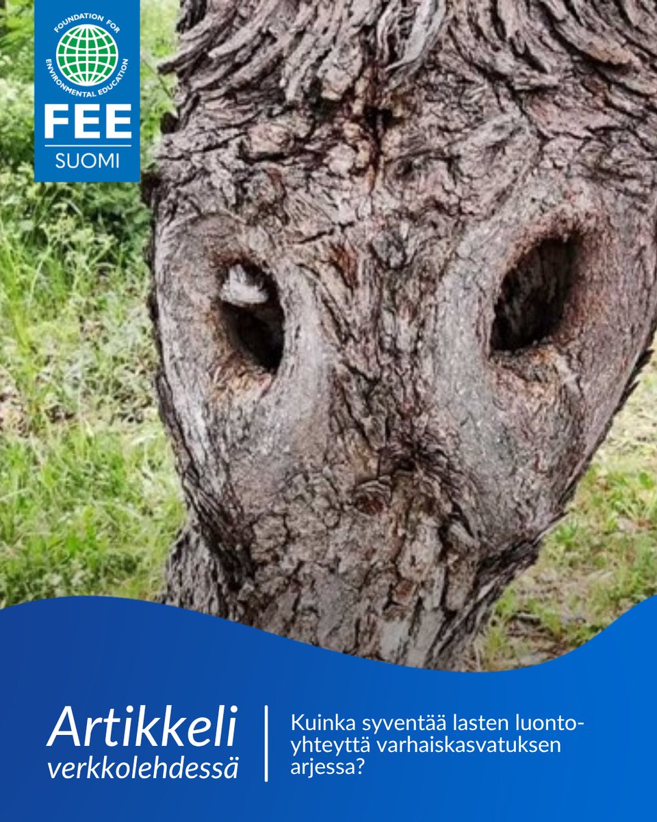 FEE Suomi tweet media