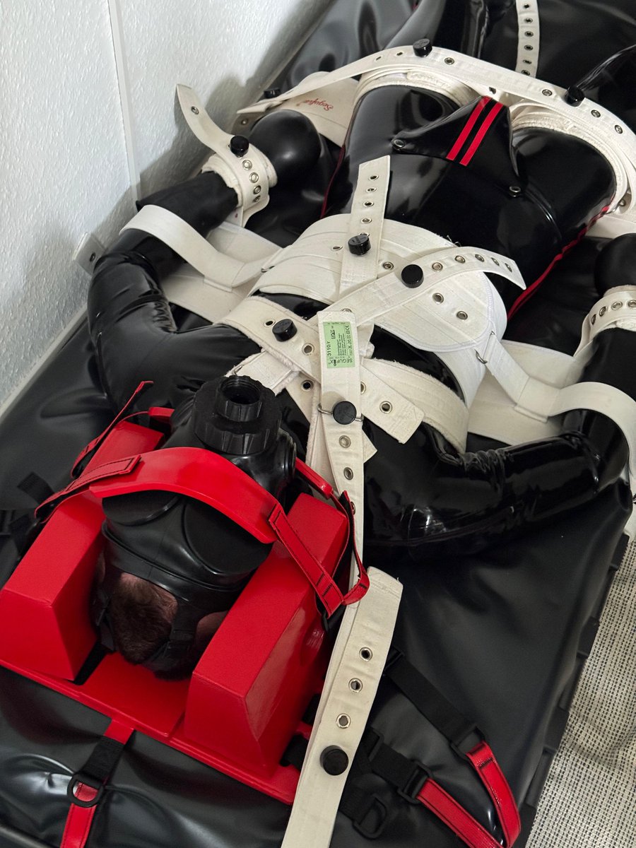 puppy_Marlon_'s tweet photo. Marlon made some new experiences for the first time 👉👈 https://t.co/yN3qIzfV7q