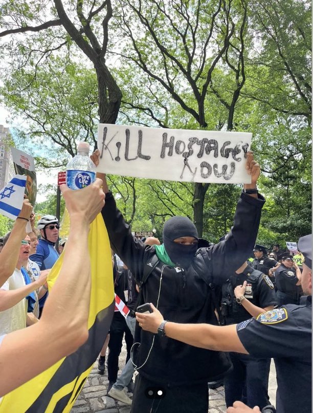'Free Palestine' protester in NYC showing off their sign that reads "kill hostages now"
In front of the police and supporters of Israel.
I think America has a problem, and it's called the 'Free Palestine' movement.