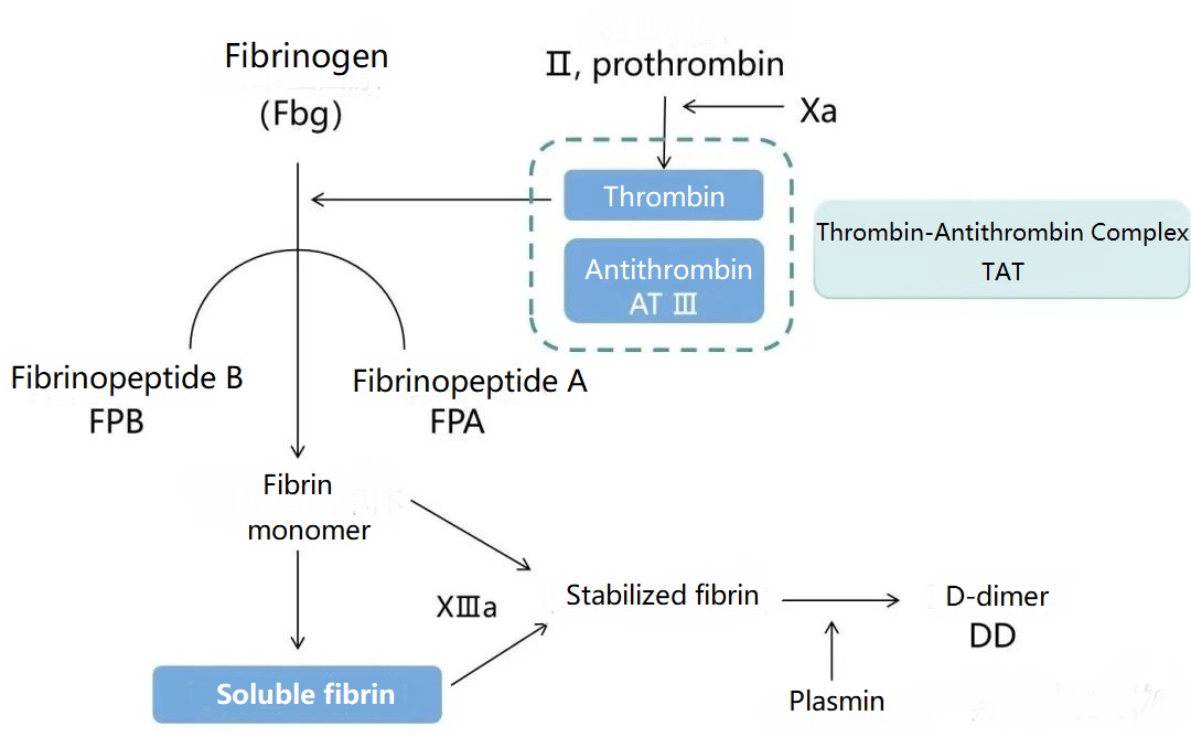 AntBio_'s tweet image. Ever wonder what makes PCR experiments reliable? High-quality PCR tubes ensure minimal sample loss and accurate results! 🧪 Perfect for researchers who value precision. 
#PCRTips #LabLife #ScienceBehindTheScenes #BiotechTools #StarterBio