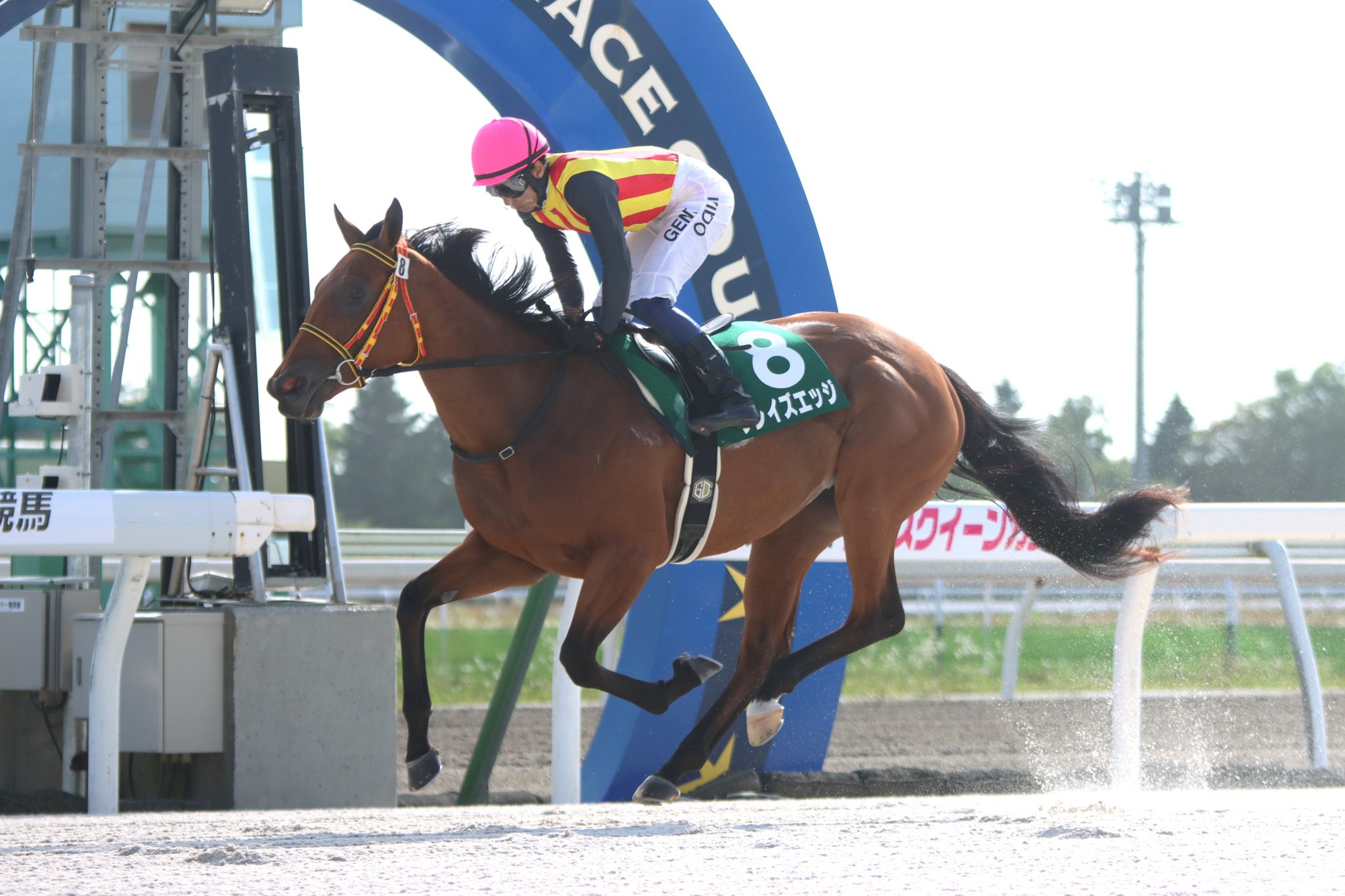 弁理士　馬場レジュメ　2018（特実） がんばれ！ホッカイドウ競馬 on X: 