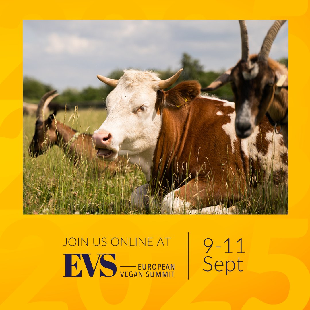 AnimalLawEurope's tweet image. 🚨 Save the date! Join @AliceDiConcetto at the @eu_vegan_summit 2025 (9–11 Sept), hosted by @InstituteRev
🗨️ She’ll be on the panel “Behind the Green Curtain: the Food Industry's Marketing Tricks” on 11 Sept at 18:45 CET.
🔗 More → vegansummit.eu
#vegan #foodsystems