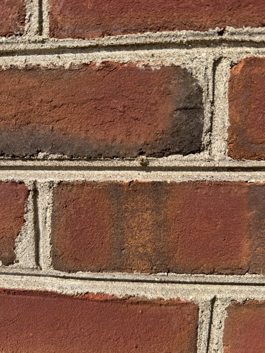 Spider on the wall feels like me