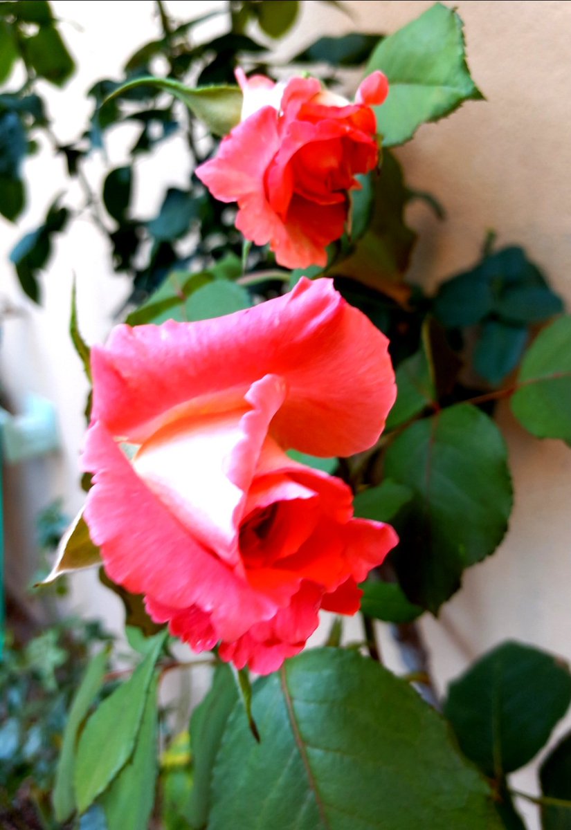 <a href="/DailyPicTheme2/">Daily Picture Theme</a> #Two