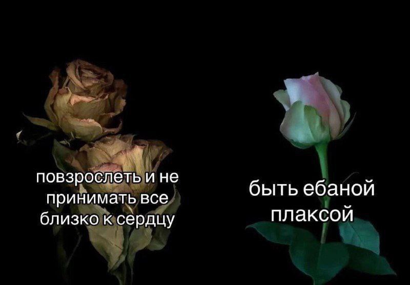 гротеск (@st_grotesque) on Twitter photo 