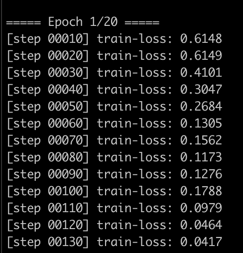 The untold joy of seeing loss decrease with a massive  training dataset