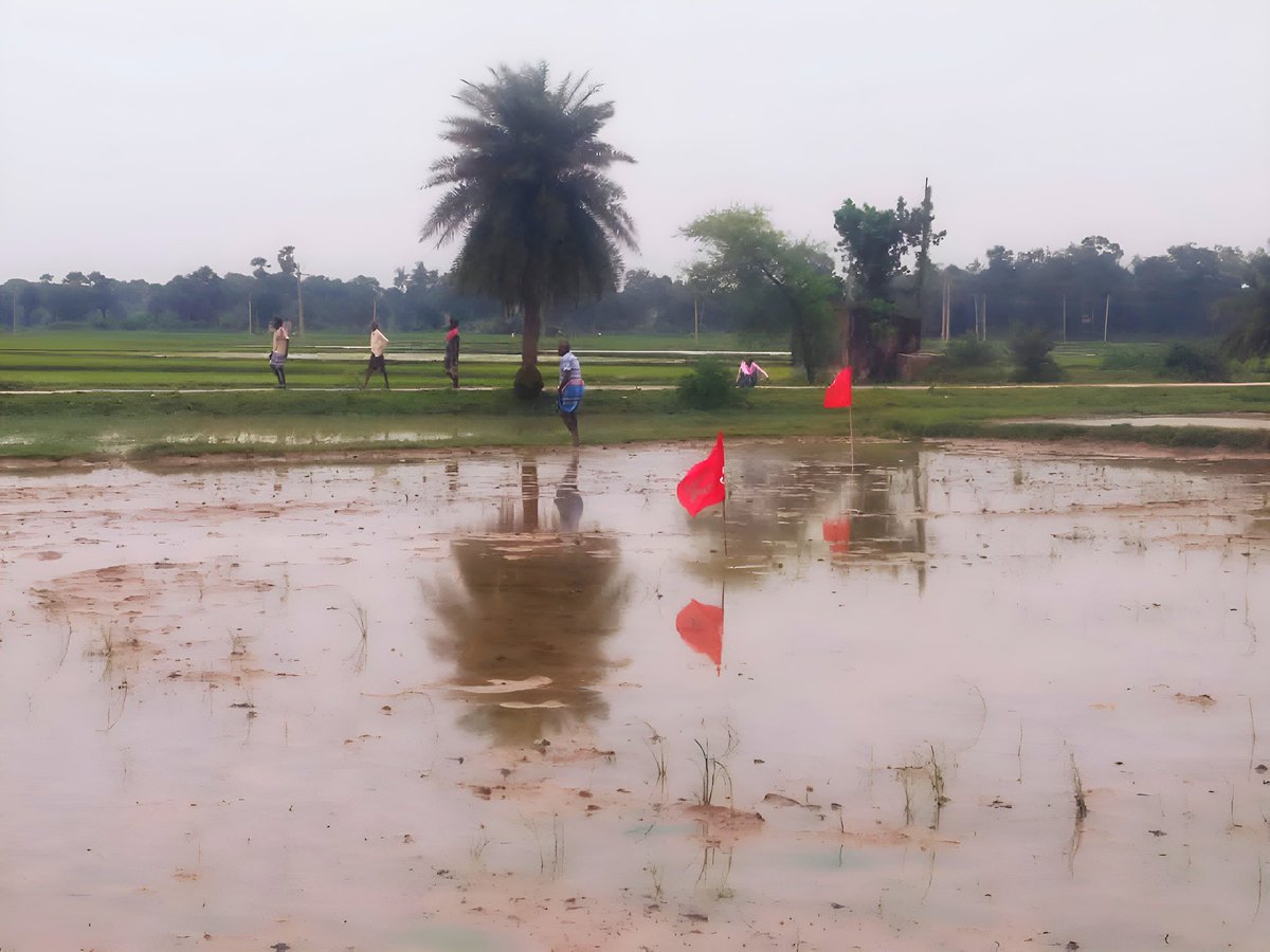 কাস্তেটা দাও শান হো...

আজ ভোরে, পূর্ব বর্ধমানের ভাতারে লাল ঝান্ডা হাতে কৃষক, ক্ষেতমজুররা নিজেদের জমি উদ্ধার করলেন। জোতদারদের হাতে দখল হয়ে যাওয়া জমি পুনর্দখল করে রোপন করলেন নতুন ধান। 

"মোরা তুলবো না ধান পরের গোলায়,
মরবো না আর ক্ষুধার জ্বালায় মরবো না।
ধার জমিতে লাঙ্গল চালাই,