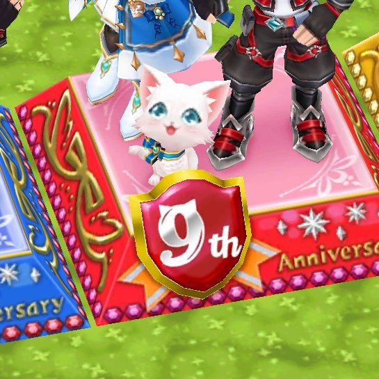 白猫好き 白猫 ZX白