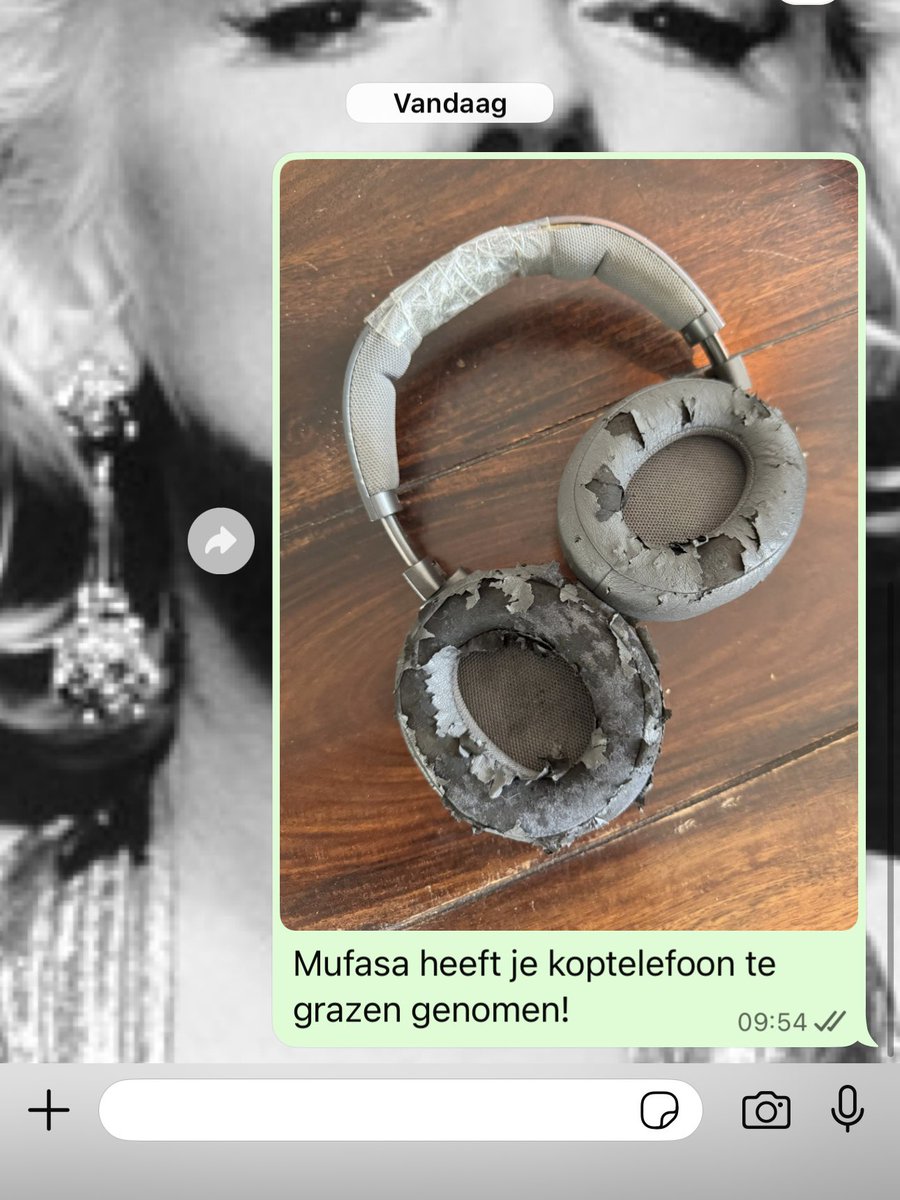 Neeltje update: 

‘Oeps!’

-Neeltje!