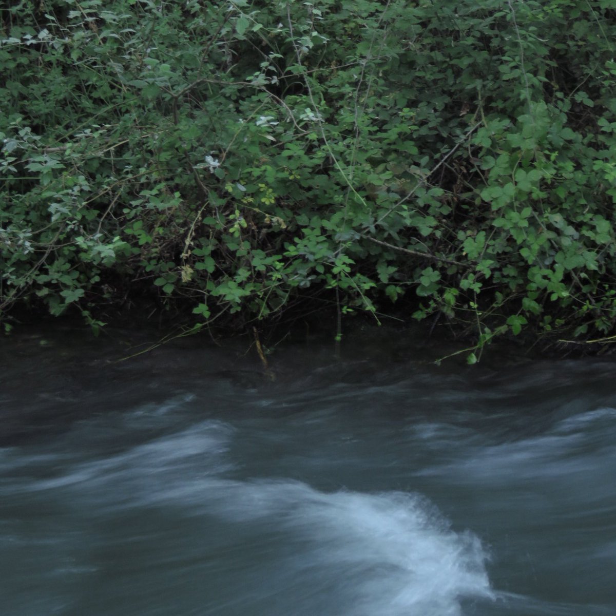 jrxrm's tweet image. ayer me salí al río a echar fotos y me quemé los hombros por el camino 🏞️