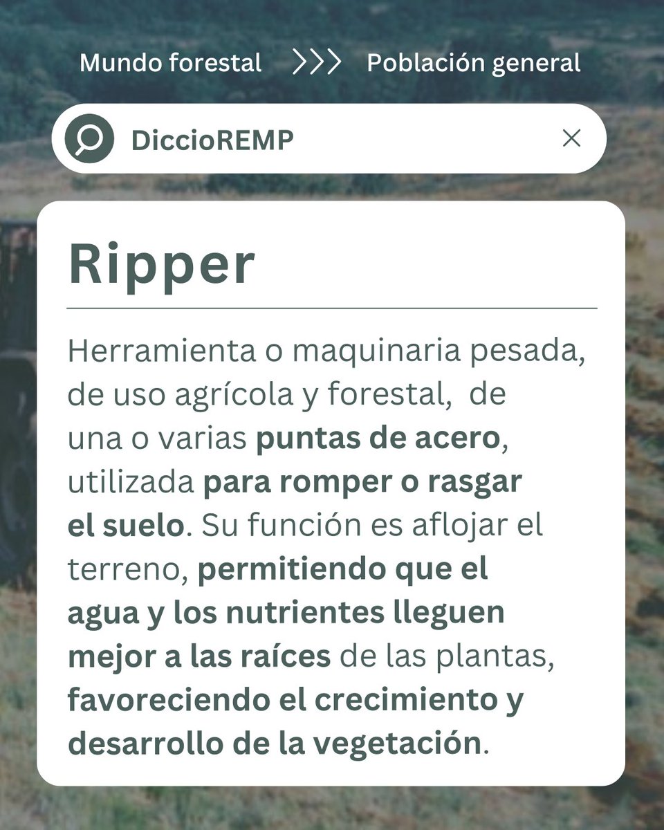 En #DiccioREMP hablamos del #ripper, una #herramienta o #maquinaria pesada agrícola y forestal, de una o varias puntas de acero, para romper el suelo. 

Permite que el agua y los nutrientes lleguen mejor a las raíces.

@‌FBiodiversidad

#ProyectosPRTR #PlanDeRecuperación