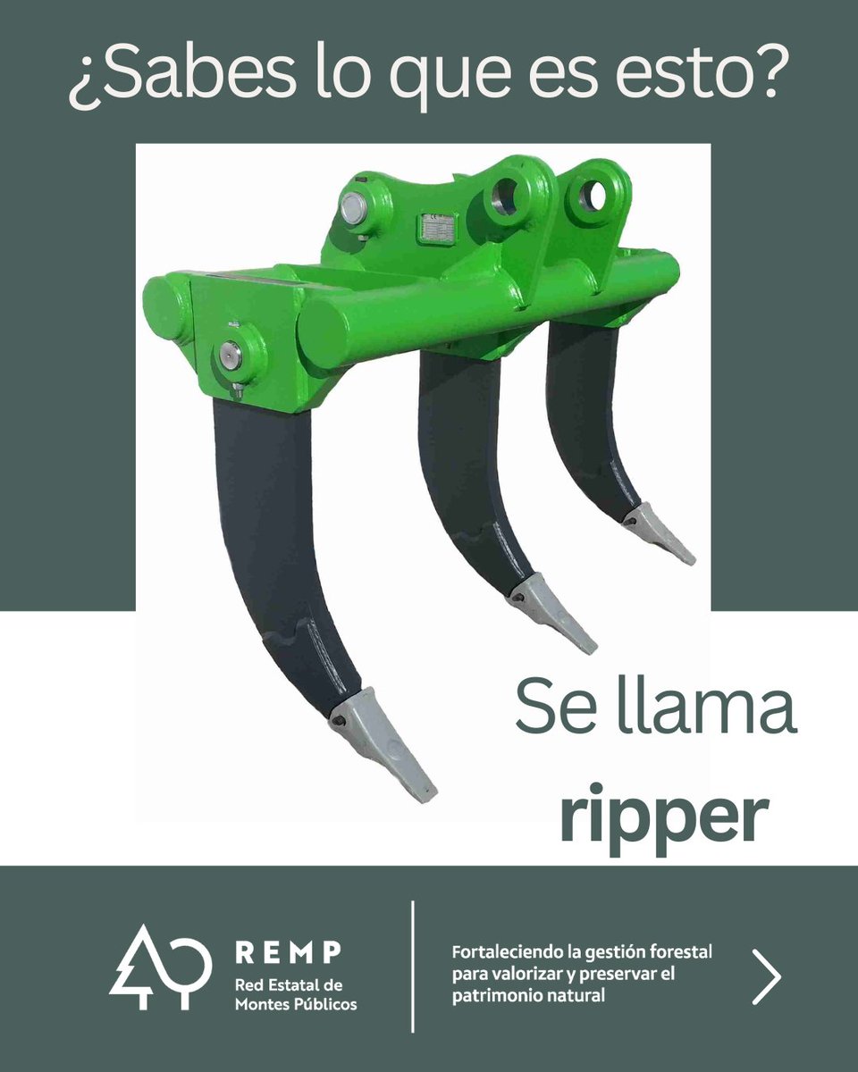 REMP_es's tweet image. En #DiccioREMP hablamos del #ripper, una #herramienta o #maquinaria pesada agrícola y forestal, de una o varias puntas de acero, para romper el suelo. 

Permite que el agua y los nutrientes lleguen mejor a las raíces.

@‌FBiodiversidad

#ProyectosPRTR #PlanDeRecuperación