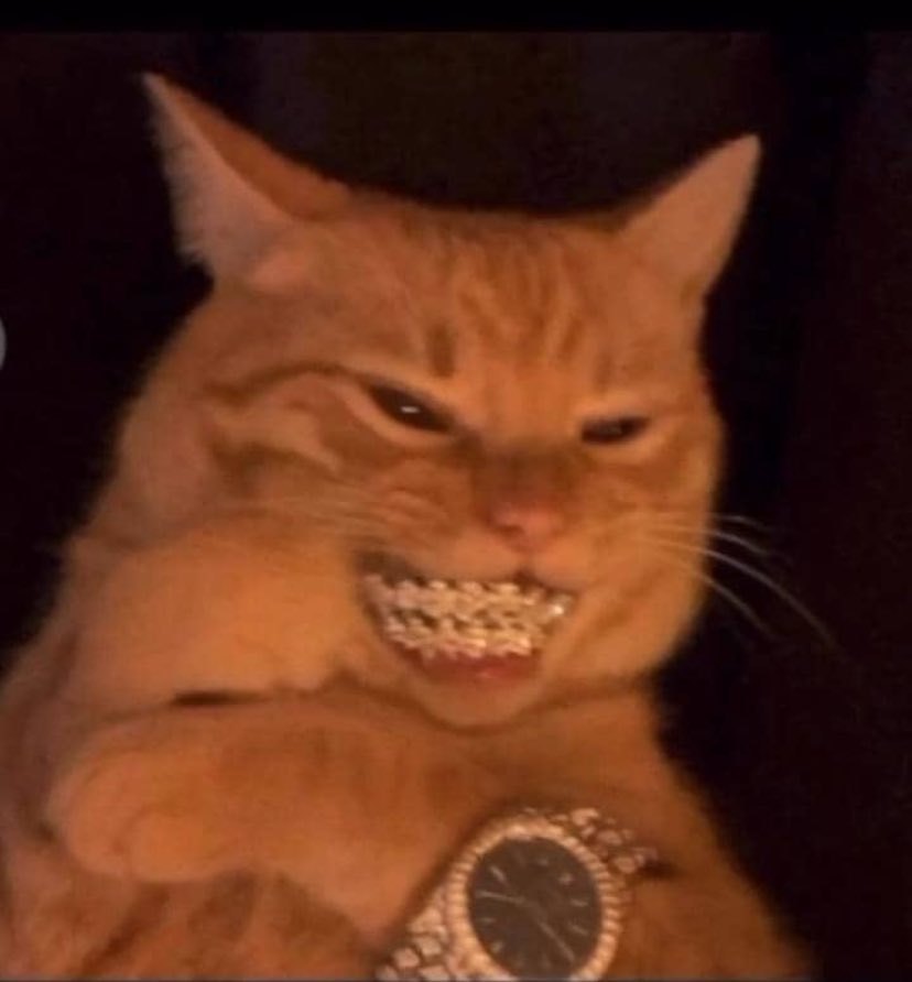 Thetriiib's tweet image. How I feel after I wake up to a fully charged phone