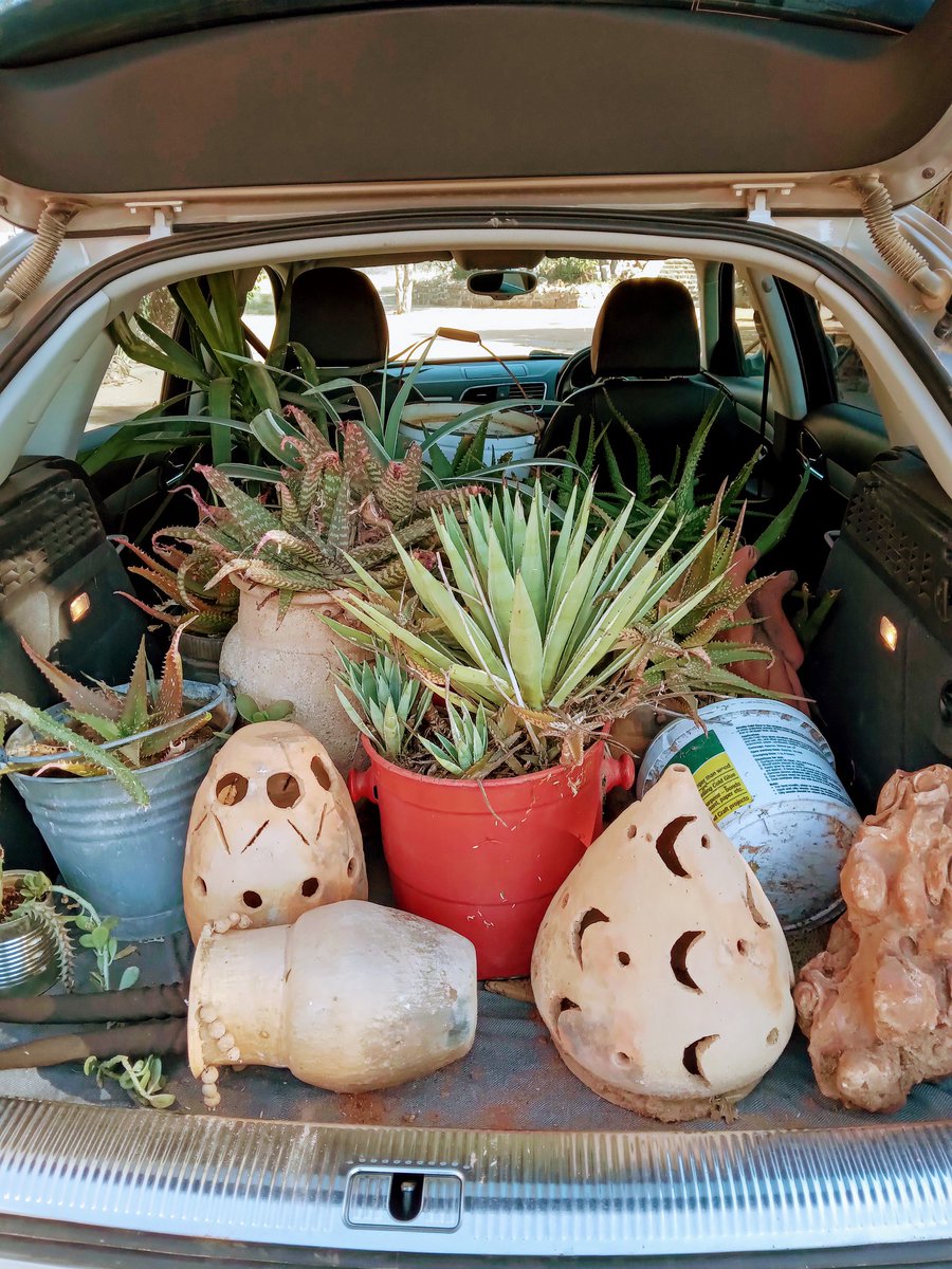 Währen J. sich um ein Zebra kümmert, sind Andere damit  beschäftigt die restlichen Trophies von den Wänden zu holen und ich hab mein Auto bepflanzt.