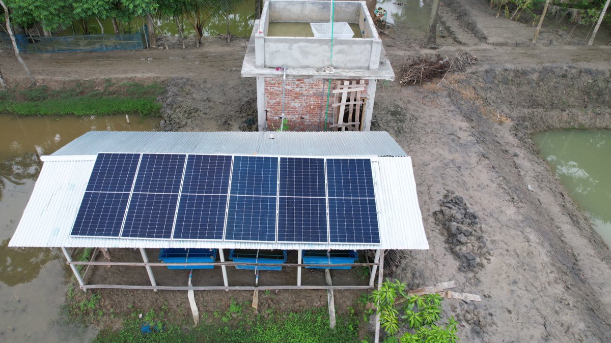 WorldFishCenter's tweet image. 💡Building on prior success from WorldFish's solar-powered mini #fishseed hatcheries, this model is now being scaled up through @CGIARScaling, with growing private sector collaboration.
This initiative helps to improve Bangladesh’s southern delta communities.
#AquaticFoods