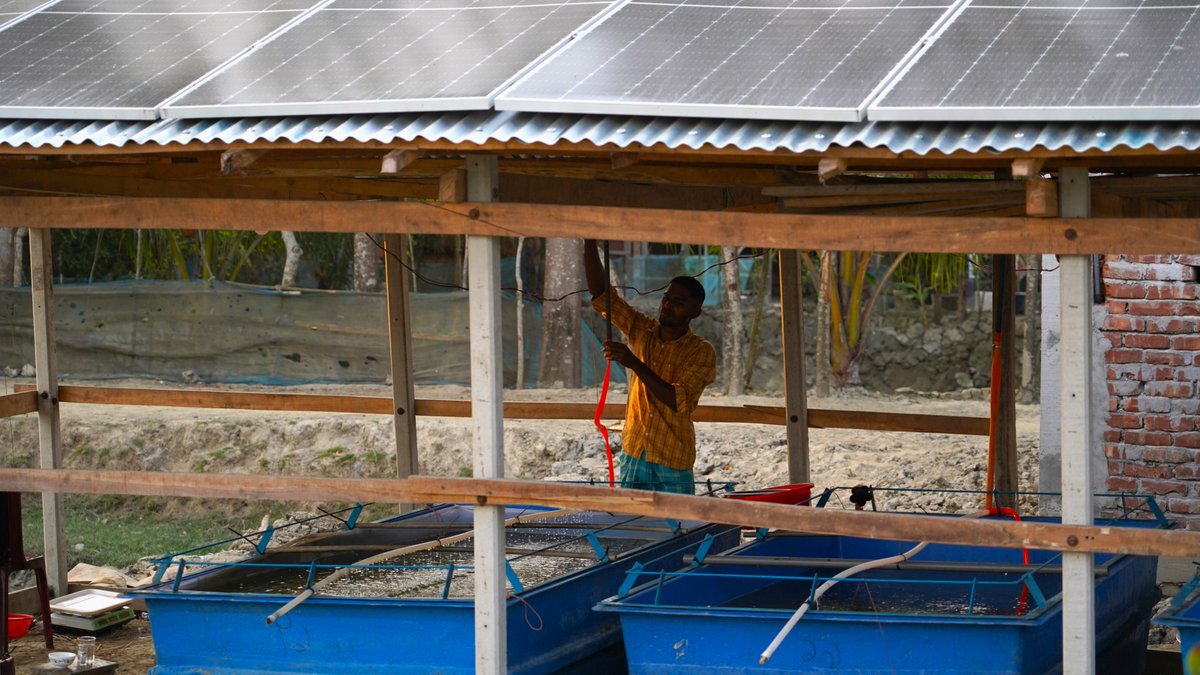WorldFishCenter's tweet image. 💡Building on prior success from WorldFish's solar-powered mini #fishseed hatcheries, this model is now being scaled up through @CGIARScaling, with growing private sector collaboration.
This initiative helps to improve Bangladesh’s southern delta communities.
#AquaticFoods