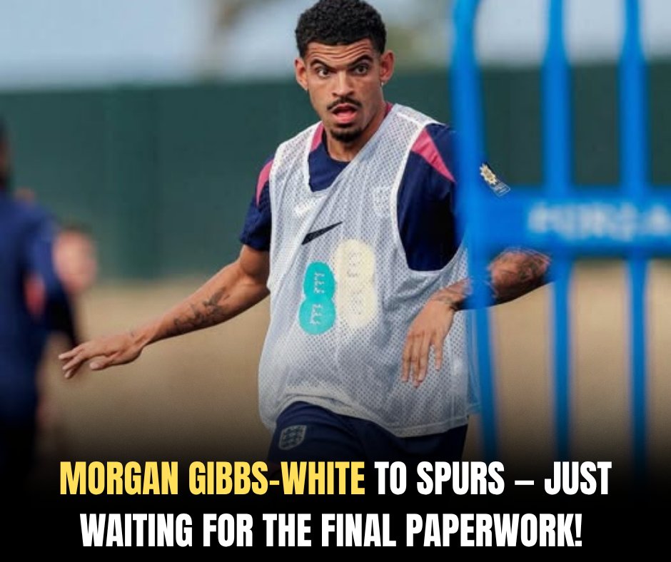 To The Lane and Back tweet media