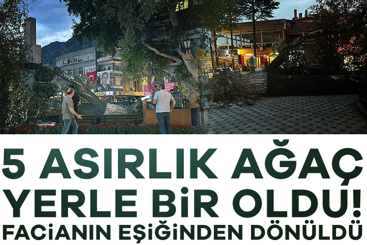 5 asırlık ağaç yerle bir oldu! Facianın eşiğinden dönüldü 

Haberi oku---&gt; tinyurl.com/bdz65wsc