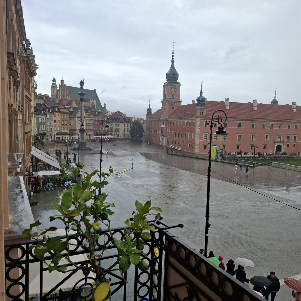 Łukasz A. Jankowski (@lajankowski) on Twitter photo W deszczu też może być pięknie, szczególnie za chwilę startujemy z OdysejaWyborcza <a href="/RadioWNET/">RadioWnet</a>
10:10 <a href="/placzekgrzegorz/">Grzegorz Płaczek</a>
10:30 prof. Piotr Grochmalski
11:10 <a href="/TomaszGrodecki/">Tomasz Grodecki</a>
11:30 <a href="/MarcinPalade/">Marcin Palade</a>
Słyszałem się na falach FM oraz na wnet.fm W deszczu też może być pięknie, szczególnie za chwilę startujemy z OdysejaWyborcza <a href="/RadioWNET/">RadioWnet</a>
10:10 <a href="/placzekgrzegorz/">Grzegorz Płaczek</a>
10:30 prof. Piotr Grochmalski
11:10 <a href="/TomaszGrodecki/">Tomasz Grodecki</a>
11:30 <a href="/MarcinPalade/">Marcin Palade</a>
Słyszałem się na falach FM oraz na wnet.fm